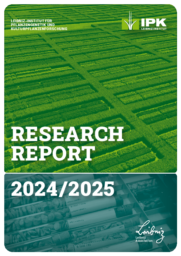 Research Report 2024 / 2025