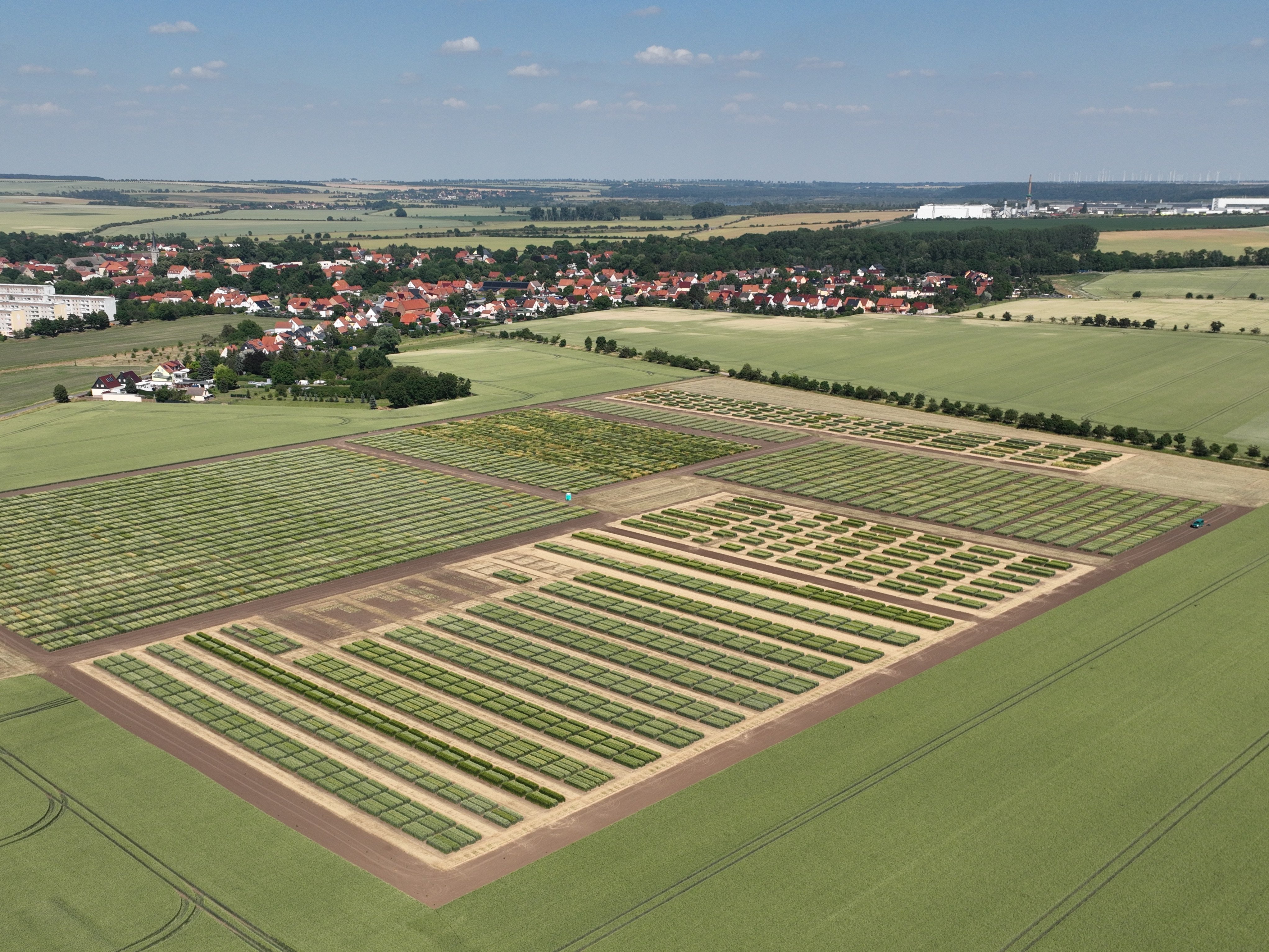 https://www.ipk-gatersleben.de/fileadmin/_processed_/e/a/csm_DJI_20260625160842_0040_V_cdf2c310bc.jpg
